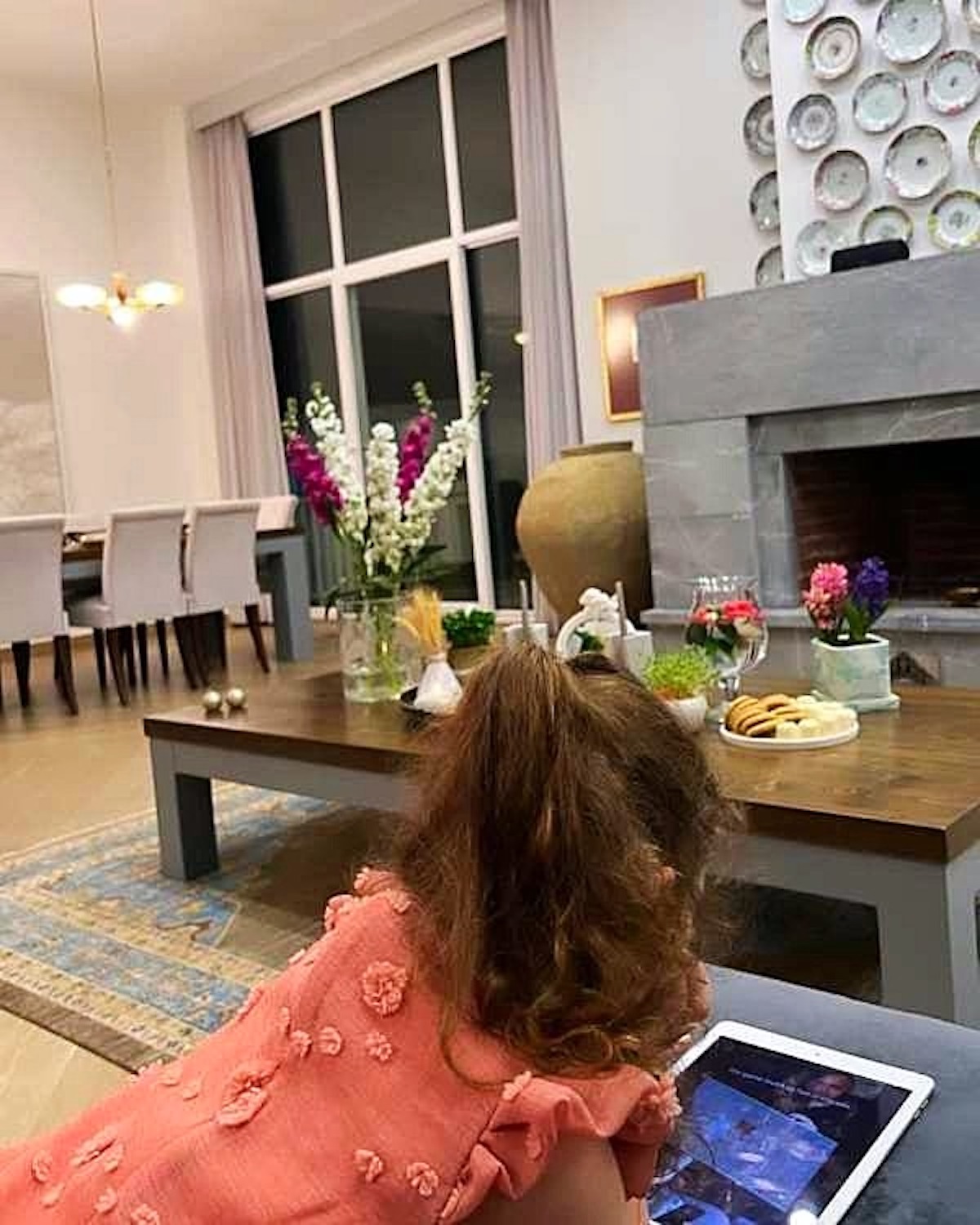 خانه فریبا نادری