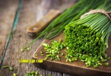 خواص تره برای دیابتی ها
