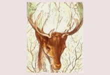 راز زن پنهان در جنگل