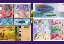 قشنگ ترین پول های کاغذی