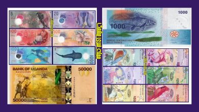 قشنگ ترین پول های کاغذی