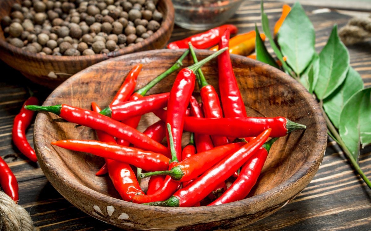 گیاهان دارویی برای تسکین درد