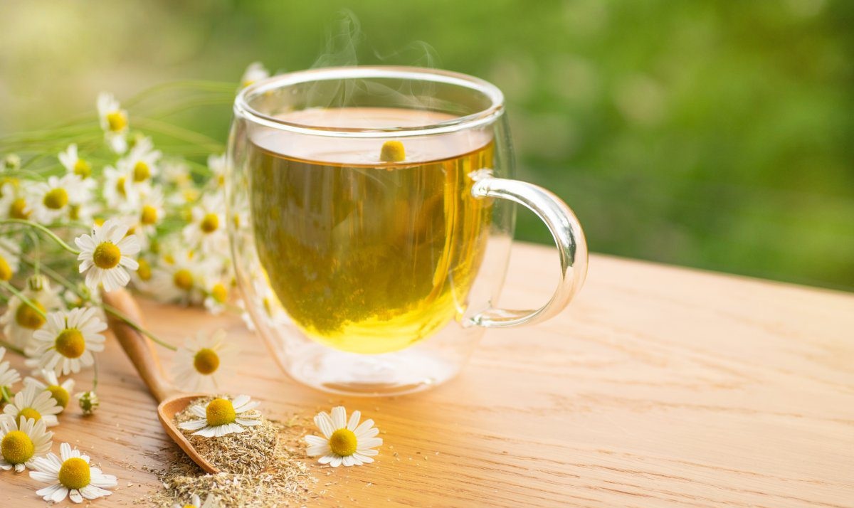 گیاهان دارویی برای تسکین درد