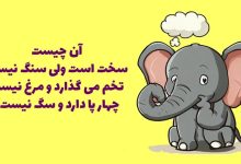 عادت های صبحگاهی برای کاهش وزن که موثر بوده و در بلند مدت تناسب اندام را به شما هدیه می دهد! چیستان با نام حیوان