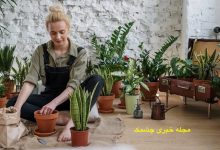 فواید باغبانی برای سلامت جسم و روان