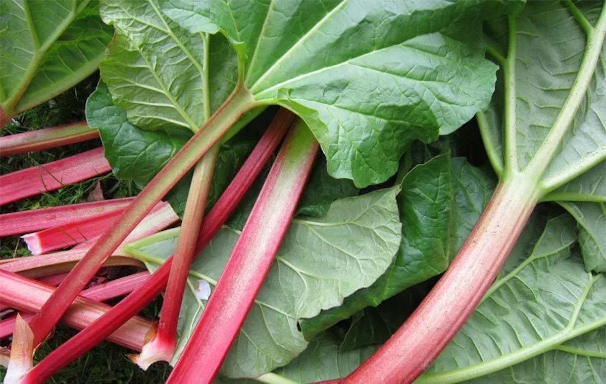 میوه های مفید برای کاهش وزن