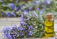 روغن رزماری برای رشد موها