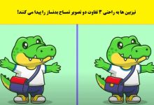 تست تصویری تفاوت های تمساح