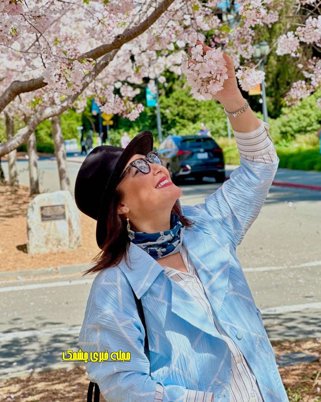 بیوگرافی لاله اسکندری