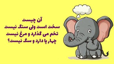 چیستان با نام حیوان