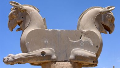 کشف همای پارسی