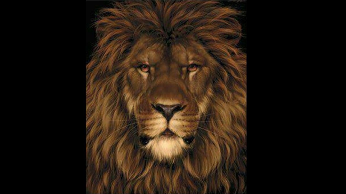 آزمون تصویری موش مخفی شده