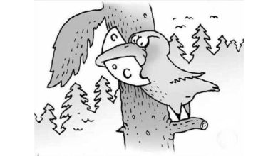 آزمون شناسایی روباه مخفی