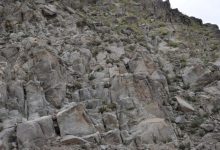 آزمون قدرت دید با بز استتار شده