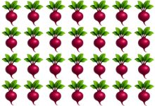 تست تصویری ترب قرمز متفاوت