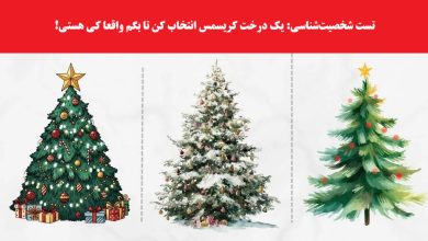 تست شخصیت درخت کریسمس