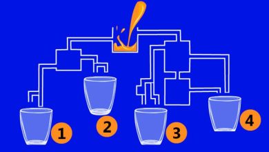 تست لیوان آب پرتقال