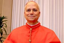 پاپ لئو چهاردهم