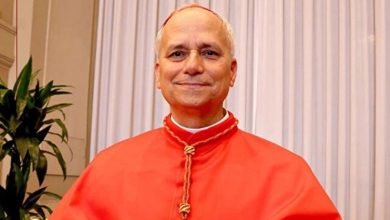 پاپ لئو چهاردهم