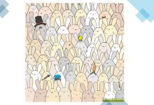 چالش تصویری سرگرم کننده با تخم مرغ