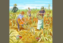 آزمون تصویری خطاهای شالیزار