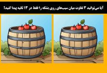 آزمون شناسایی تفاوت های بشکه و سیب