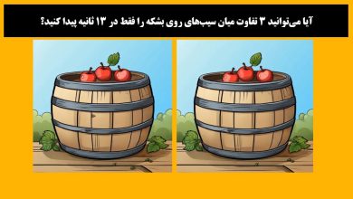 آزمون شناسایی تفاوت های بشکه و سیب