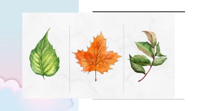 تست شخصیت با انتخاب نوع برگ