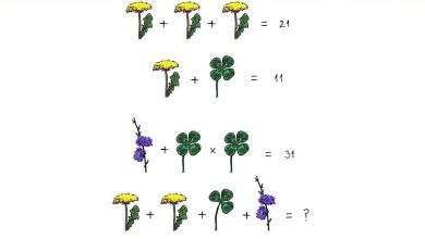 سوال تصویری با عبارت ریاضی گل ها