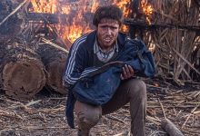 فیلم سینمایی پل