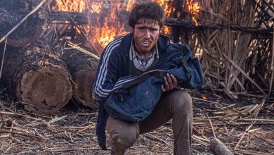 فیلم سینمایی پل