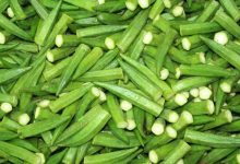 خواص بامیه برای دیابتی ها