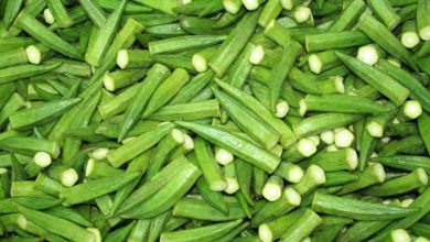 خواص بامیه برای دیابتی ها